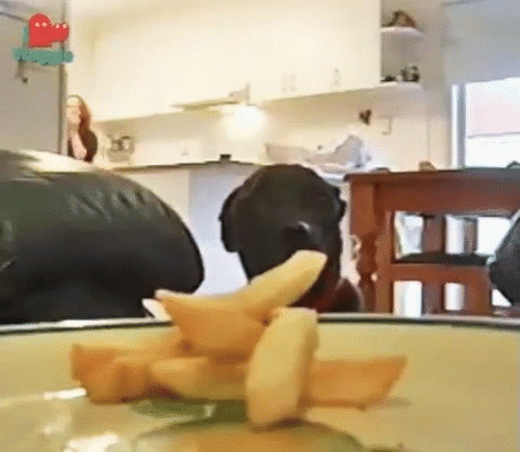 20 Photos Proving That Every Good Boy Has a Dark Side