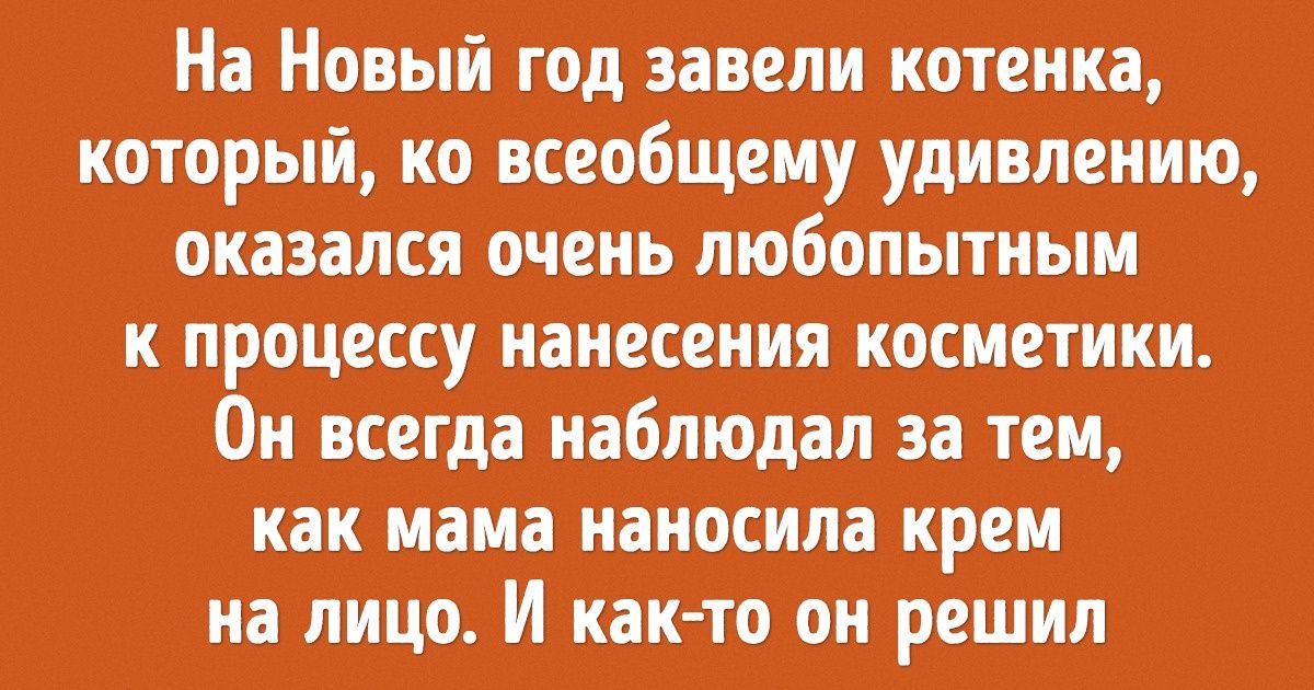 20 случаев, когда домашние любимцы проявили недюжинную смекалку
