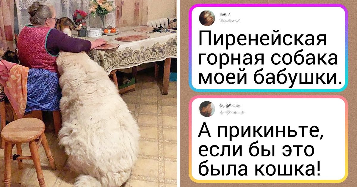 18 нереально огромных вещей, суть которых можно понять, только сравнив их с чем-нибудь другим 18 нереально огромных вещей, суть которых можно понять, только сравнив их с чем-нибудь другим