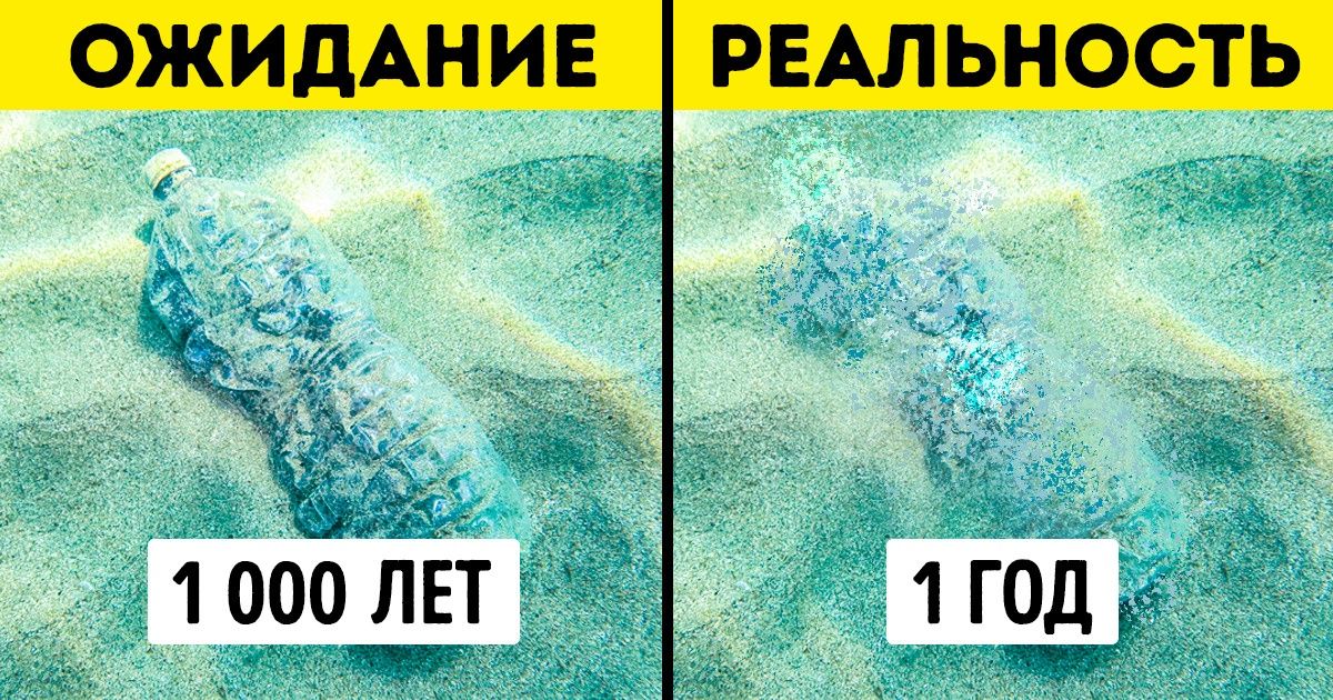 6 экологических мифов, в которые стыдно верить современному человеку 6 экологических мифов, в которые стыдно верить современному человеку