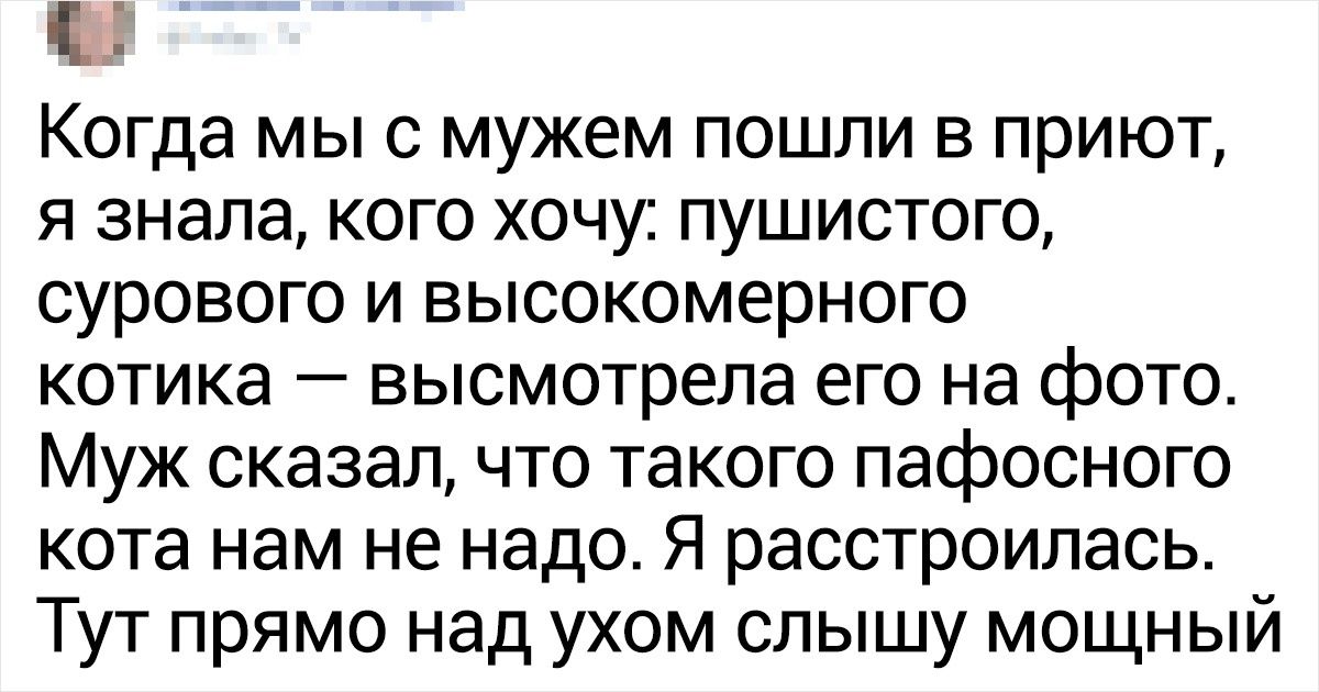 20+ раз, когда маленькое счастье ворвалось в чью-то жизнь без спроса 20+ раз, когда маленькое счастье ворвалось в чью-то жизнь без спроса