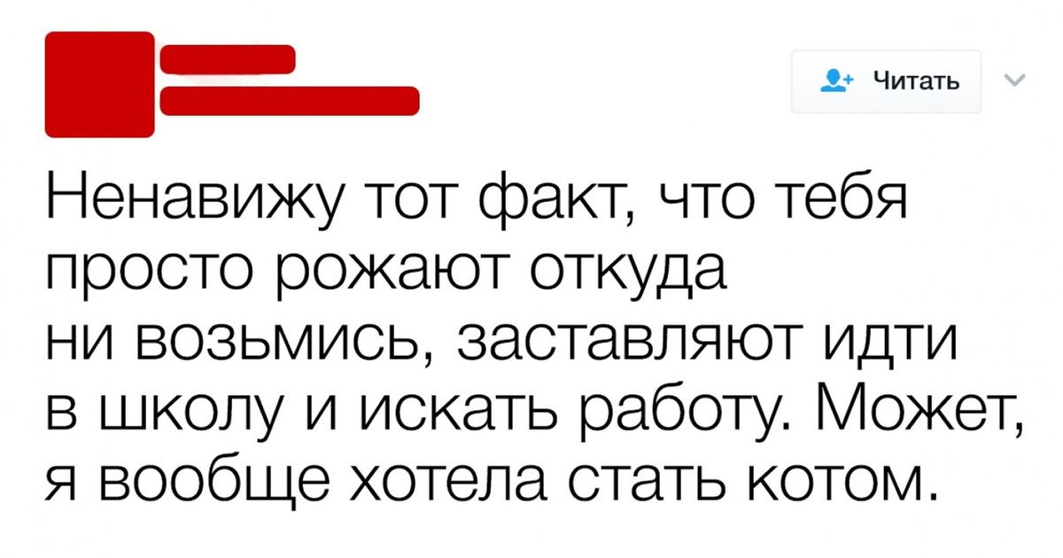 Сводные притворись что ненавидишь читать. Ненавижу чтение. Ненавижу читать. Я ненавижу читать что делать.