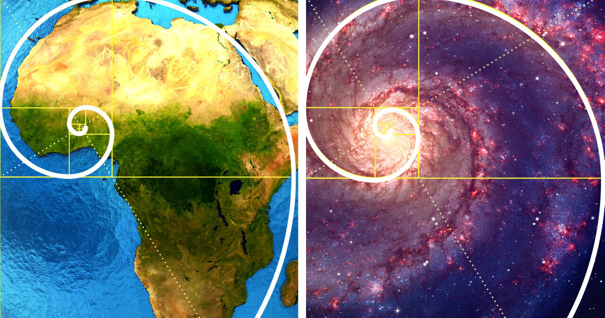 Почему в нашем мире полно спиралей Почему в нашем мире полно спиралей