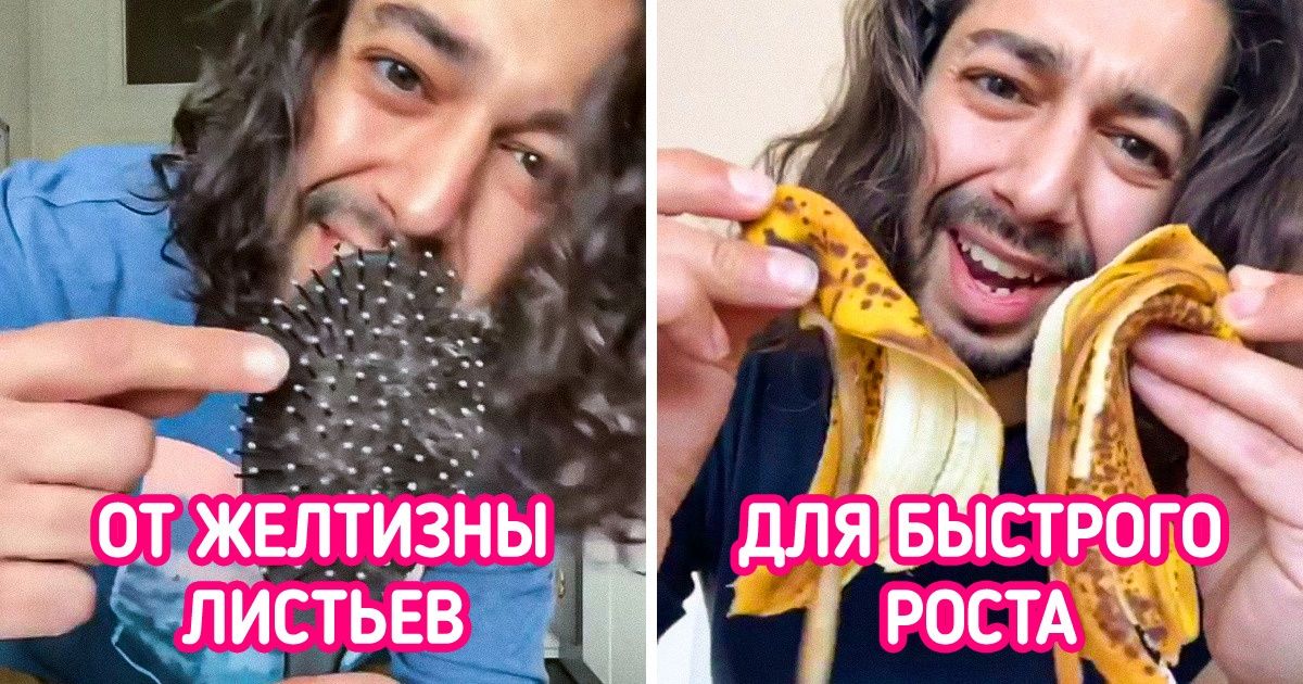 10+ лайфхаков от харизматичного садовода, который вырастил на подоконнике настоящий огород 10+ лайфхаков от харизматичного садовода, который вырастил на подоконнике настоящий огород