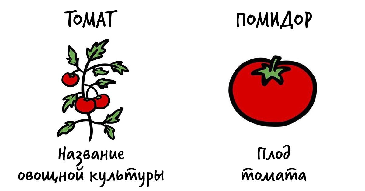 20+ иллюстраций, которые наглядно покажут разницу в словах и понятиях, которые мы вечно путаем 20+ иллюстраций, которые наглядно покажут разницу в словах и понятиях, которые мы вечно путаем