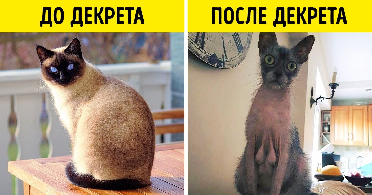 19 шутливых доказательств того, что мир меняется с головокружительной скоростью 19 шутливых доказательств того, что мир меняется с головокружительной скоростью