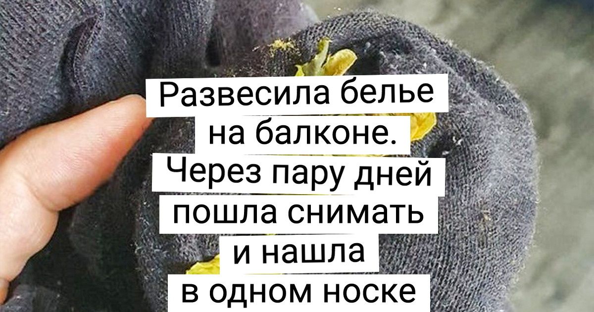 15 случаев, когда люди забыли о чем-то, а потом вдруг вспомнили и обомлели 15 случаев, когда люди забыли о чем-то, а потом вдруг вспомнили и обомлели