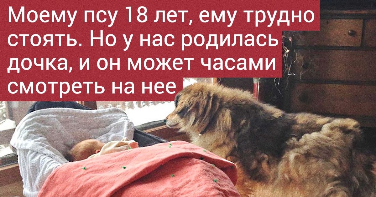 18 светлых фотографий, от которых в душе начинают петь соловьи 18 светлых фотографий, от которых в душе начинают петь соловьи