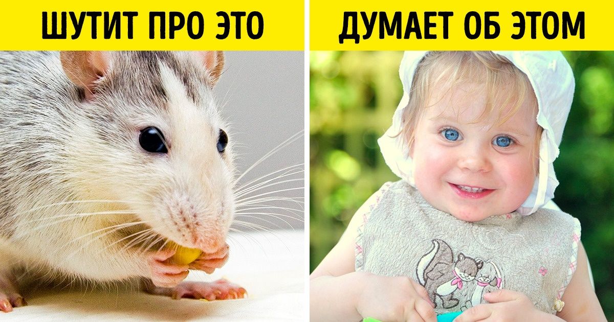 4 приема от Зигмунда Фрейда, которые позволят узнать темные стороны любого человека (И даже ваши) 4 приема от Зигмунда Фрейда, которые позволят узнать темные стороны любого человека (И даже ваши)