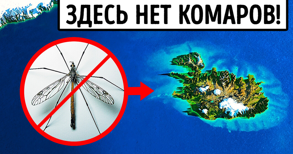 3 вида ламп от комаров − когда они реально работают?