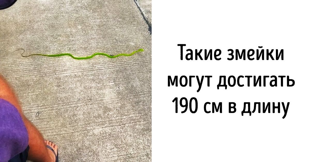 Девушка, переехавшая в Таиланд, рассказывает о том, что скрыто в этой стране от глаз туристов Девушка, переехавшая в Таиланд, рассказывает о том, что скрыто в этой стране от глаз туристов