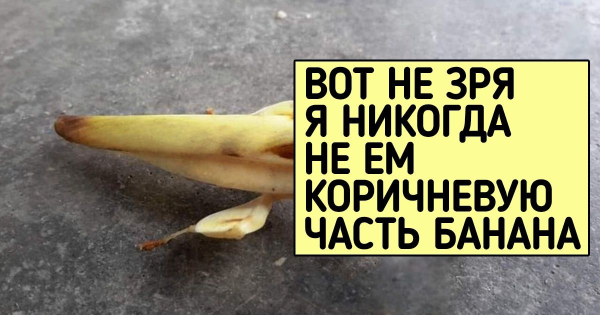 18 штуковин, которые выглядят безумно аппетитно, но не верьте своим глазам — есть их не стоит 18 штуковин, которые выглядят безумно аппетитно, но не верьте своим глазам — есть их не стоит