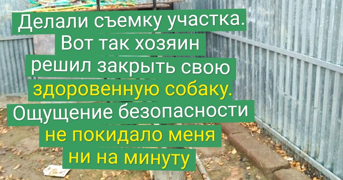 20 человек, которые хотели отработать на совесть, но вышло все через пень-колоду 20 человек, которые хотели отработать на совесть, но вышло все через пень-колоду