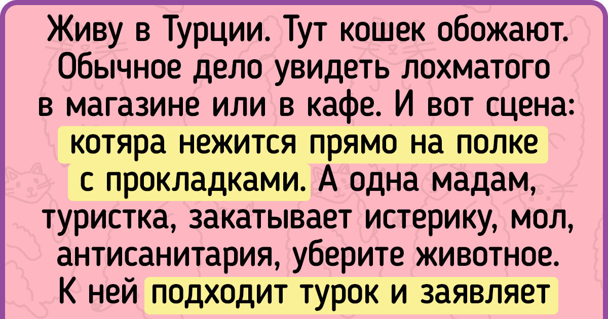 20+ историй про то, что животные способны на любовь размером с океан 20+ историй про то, что животные способны на любовь размером с океан