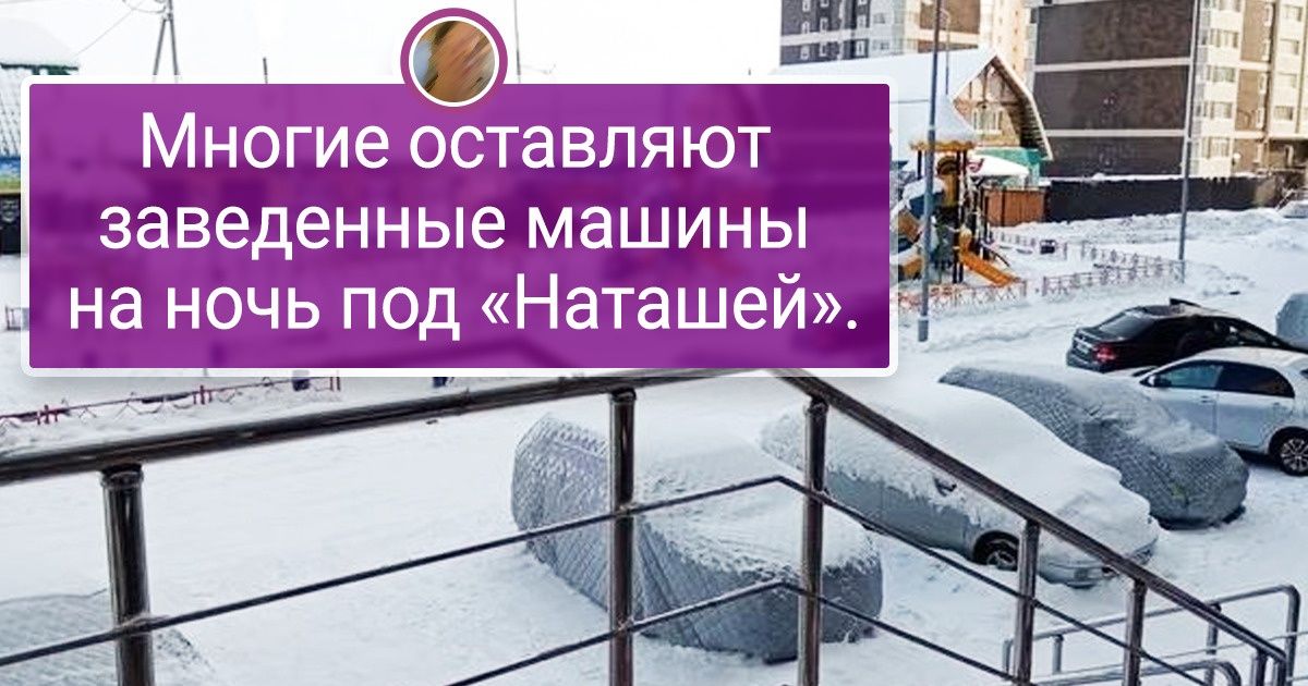 20+ доказательств того, что вы не знаете, что такое настоящая зима. В отличие от жителей Якутии 20+ доказательств того, что вы не знаете, что такое настоящая зима. В отличие от жителей Якутии
