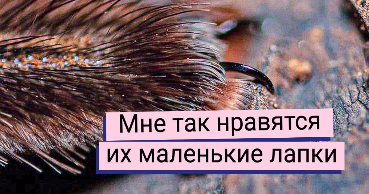 23 доказательства, что приближенные во сто крат вещи перестают быть обычными