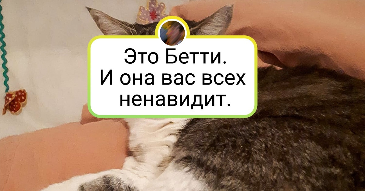 20 питомцев, которые заслуживают отдельного «Оскара» за свою эмоциональность 20 питомцев, которые заслуживают отдельного «Оскара» за свою эмоциональность