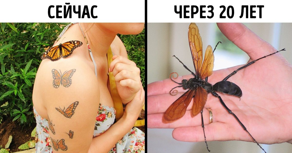 9 неожиданных проблем, которые принесет глобальное потепление 9 неожиданных проблем, которые принесет глобальное потепление