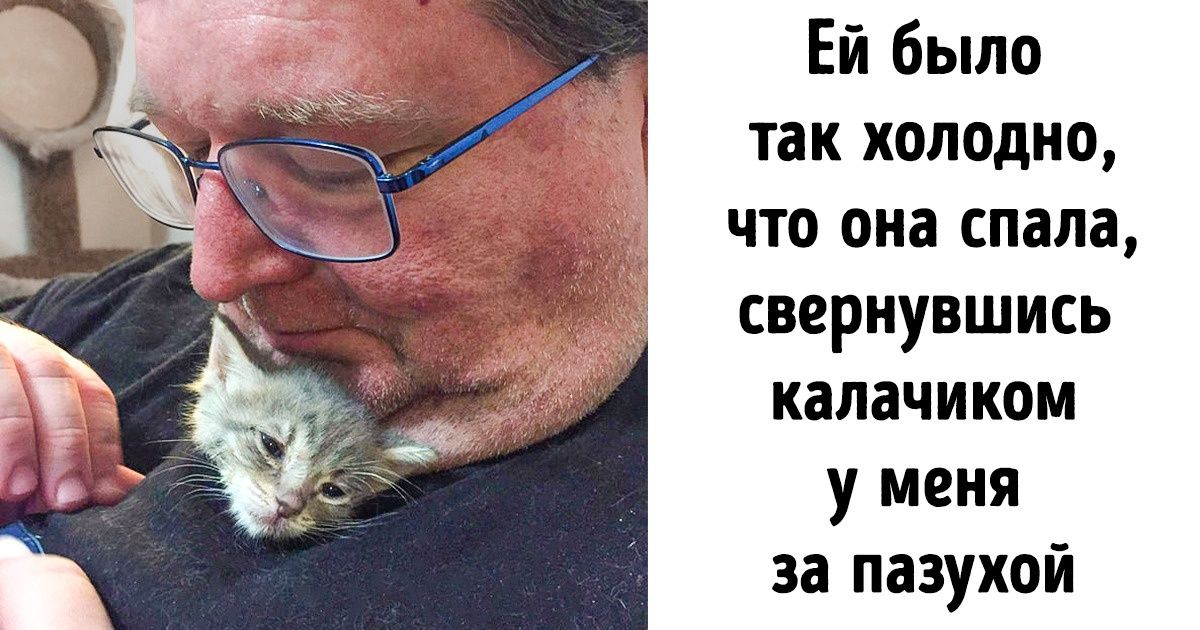 15 фото, которые показывают глубину взаимоотношений человека и животных 15 фото, которые показывают глубину взаимоотношений человека и животных