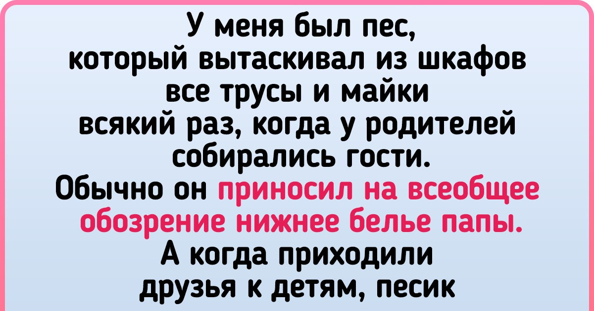 15+ хозяев, которые завели на свою голову собак с чувством юмора 15+ хозяев, которые завели на свою голову собак с чувством юмора