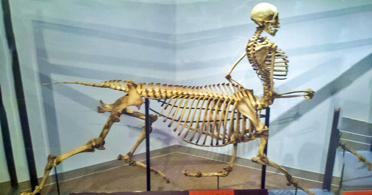 20 древних музейных экспонатов, которые существуют в единственном экземпляре