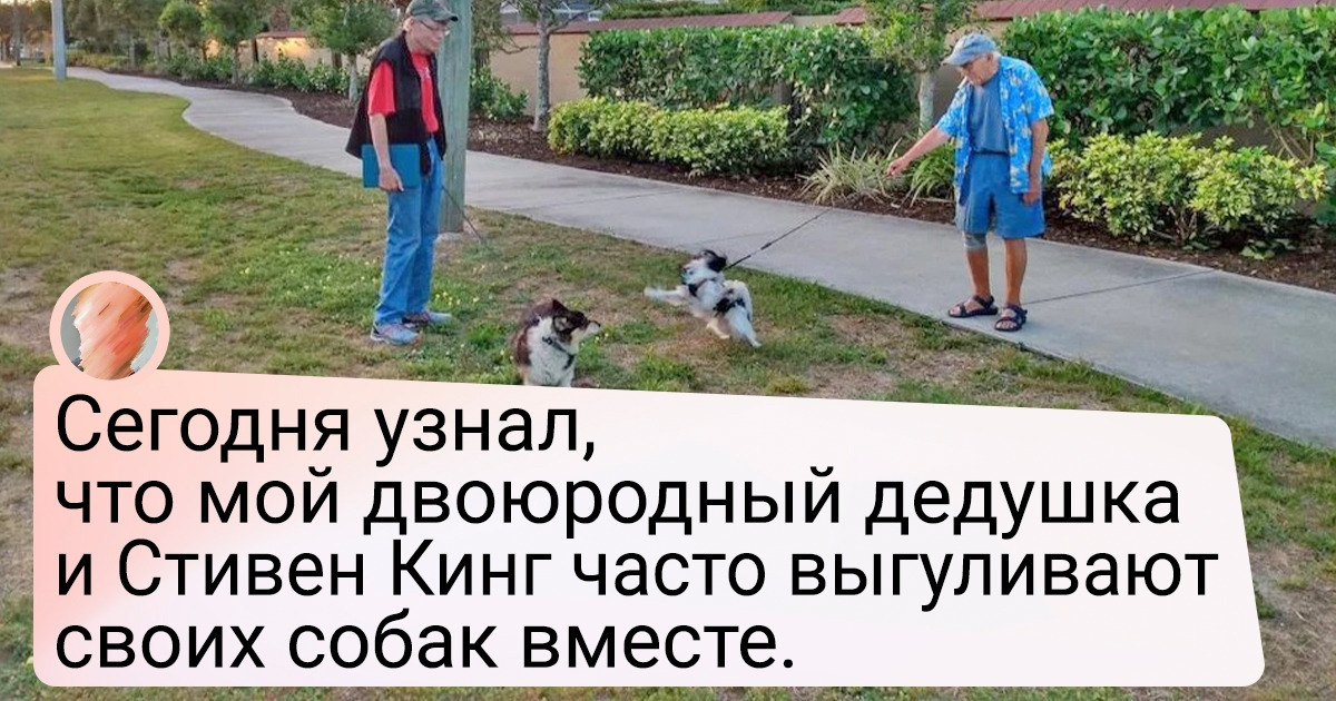 18 неожиданных встреч, которые надолго врежутся в память 18 неожиданных встреч, которые надолго врежутся в память