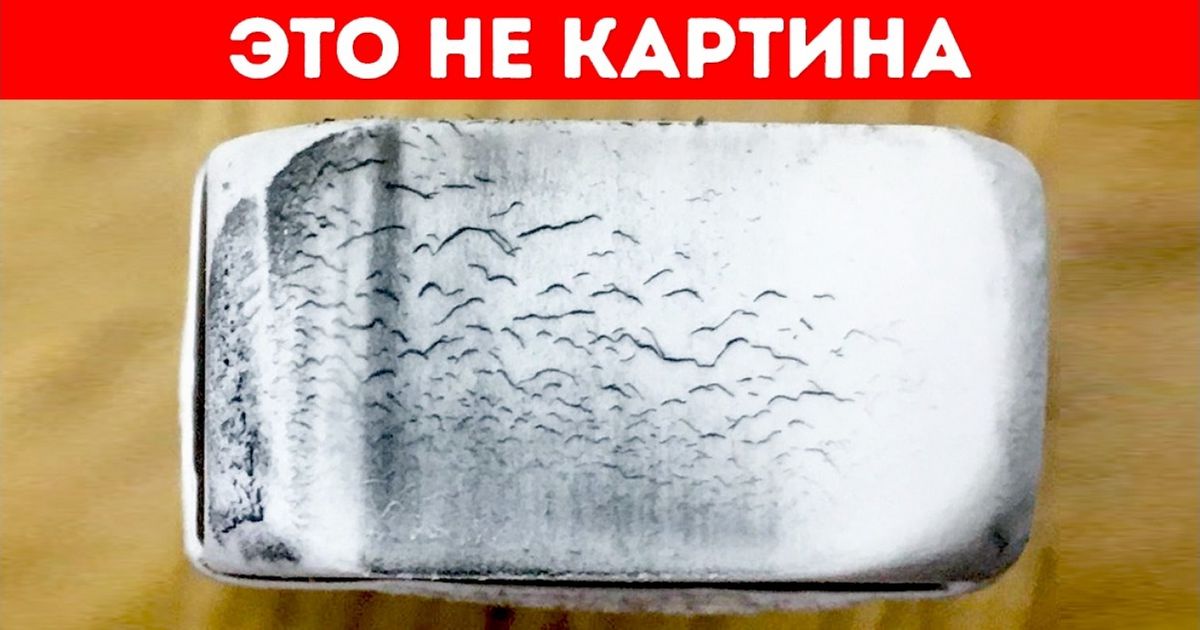 22 фотографии, которые заставят вас как следует присмотреться