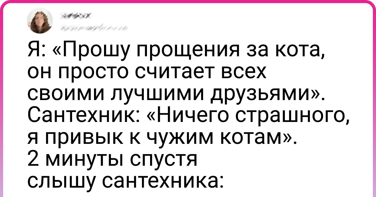 18 животных, которые изо всех сил готовятся в следующей жизни стать человеком 18 животных, которые изо всех сил готовятся в следующей жизни стать человеком