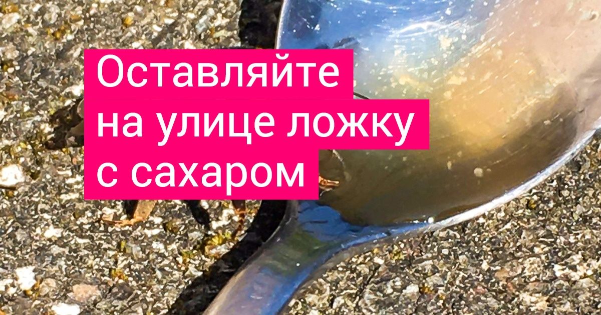 10 простых шагов помощи планете, которые каждый может сделать уже сегодня 10 простых шагов помощи планете, которые каждый может сделать уже сегодня