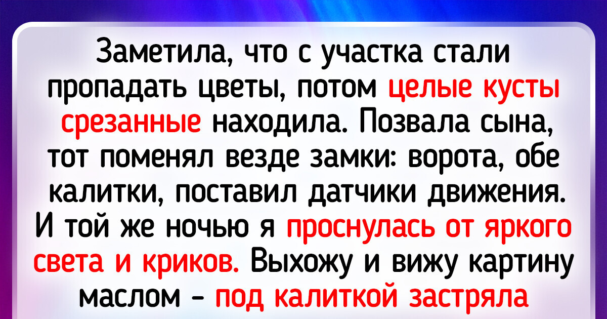 15+ историй о людях, которые купили жилье и попали в неожиданные ситуации 15+ историй о людях, которые купили жилье и попали в неожиданные ситуации