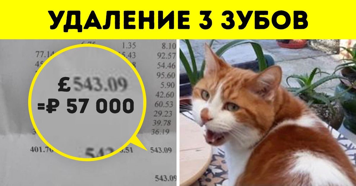 10 особенностей жизни в Англии, узнав которые вы захотите обнять всех британцев 10 особенностей жизни в Англии, узнав которые вы захотите обнять всех британцев