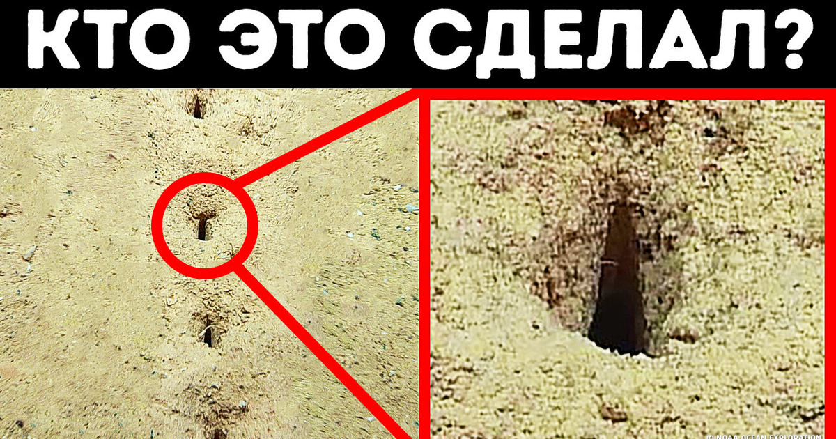 На дне океана обнаружены загадочные впадины