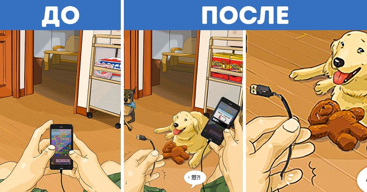 12 правдивых комиксов о том, как меняется жизнь с появлением питомца