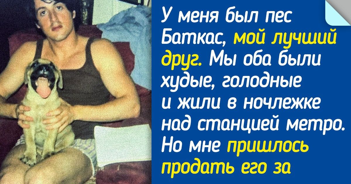 13+ питомцев, которым повезло иметь звездных хозяев. Их истории заденут за живое даже закоренелых циников 13+ питомцев, которым повезло иметь звездных хозяев. Их истории заденут за живое даже закоренелых циников