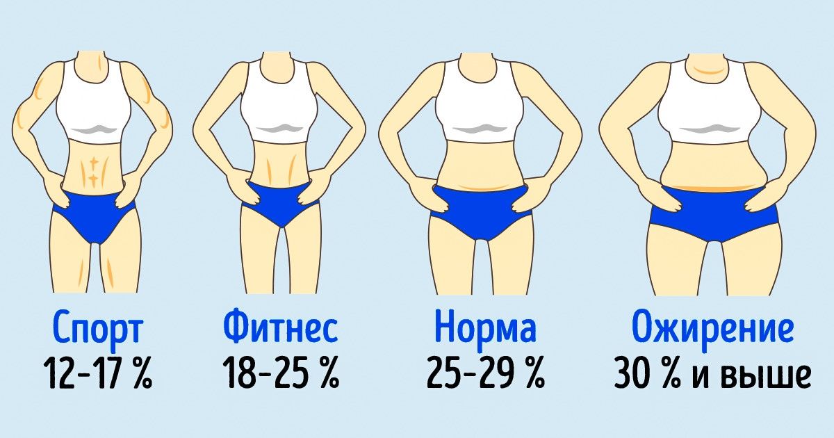 Вес мышц в теле человека. Процент жира в организме. Норма жира в организме женщины. Норма жира у женщин. Нормальный процент жира в организме женщины.