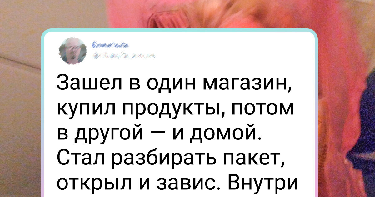 15 человек, которые проявили свою честность без промедления 15 человек, которые проявили свою честность без промедления