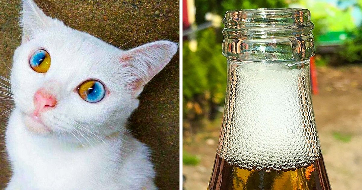 25 любопытных фотографий, которые просто невозможно вот так взять и забыть 25 любопытных фотографий, которые просто невозможно вот так взять и забыть