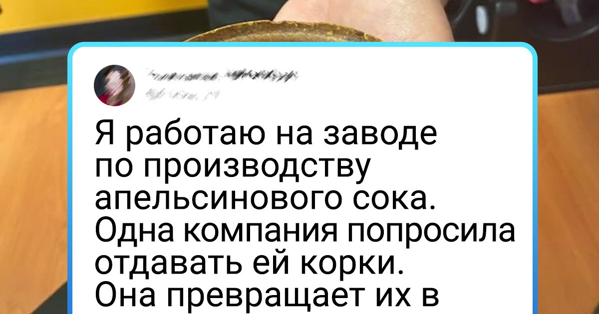 16 крутых задумок со всего мира, к которым неплохо было бы и нам присмотреться 16 крутых задумок со всего мира, к которым неплохо было бы и нам присмотреться