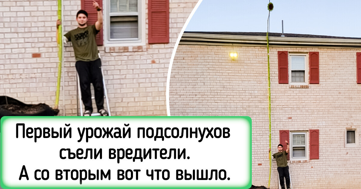 15+ фотографий, которые могут вас удивить 15+ фотографий, которые могут вас удивить