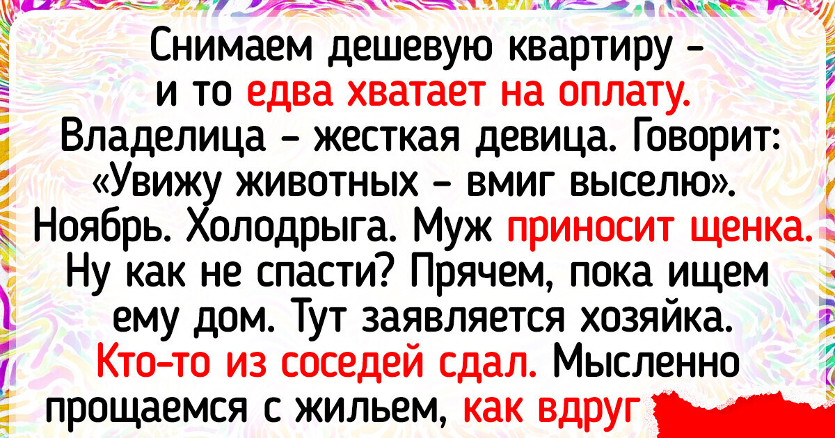 20 человек, которые не хотели заводить питомца, но жизнь распорядилась иначе 20 человек, которые не хотели заводить питомца, но жизнь распорядилась иначе