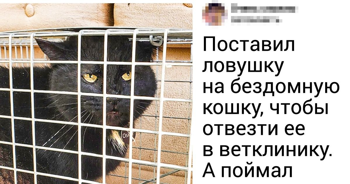 15 раз, когда люди придумали гениальный план. Но тут вмешалась ее величество судьба