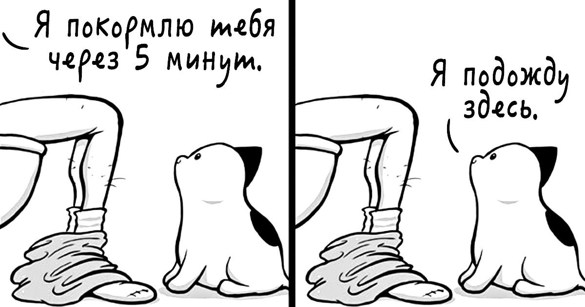 Художник завел кошку, а она оказалась с характером. Теперь она главная героиня его комиксов Художник завел кошку, а она оказалась с характером. Теперь она главная героиня его комиксов