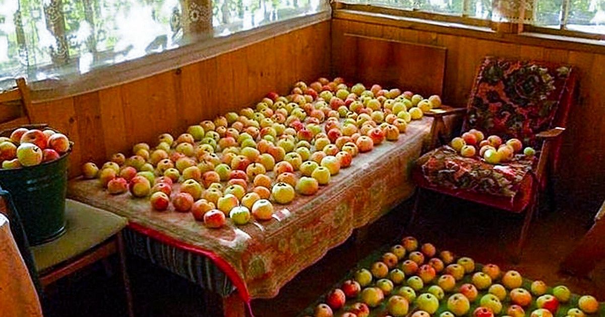20 фотографий, насквозь пропитанных запахами детства