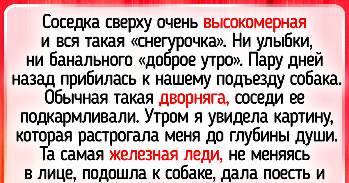 20 людей, которые не искали себе питомцев — те нашли их сами