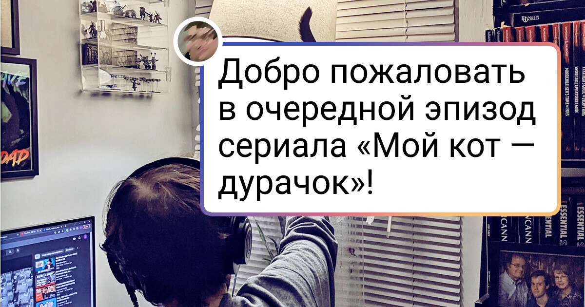 19 человек, у которых вот-вот начнется нервный тик, и все из-за проделок их мохнатых друзей 19 человек, у которых вот-вот начнется нервный тик, и все из-за проделок их мохнатых друзей