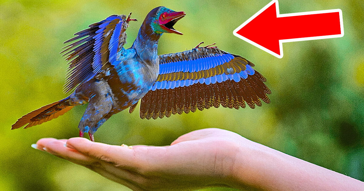 Самый крошечный динозавр в мире мог быть в 30 раз меньше вашего кота Самый крошечный динозавр в мире мог быть в 30 раз меньше вашего кота