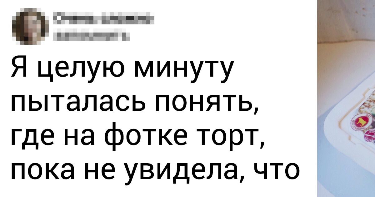 20+ тортов, в которых прекрасно все, вот только есть их жалко 20+ тортов, в которых прекрасно все, вот только есть их жалко