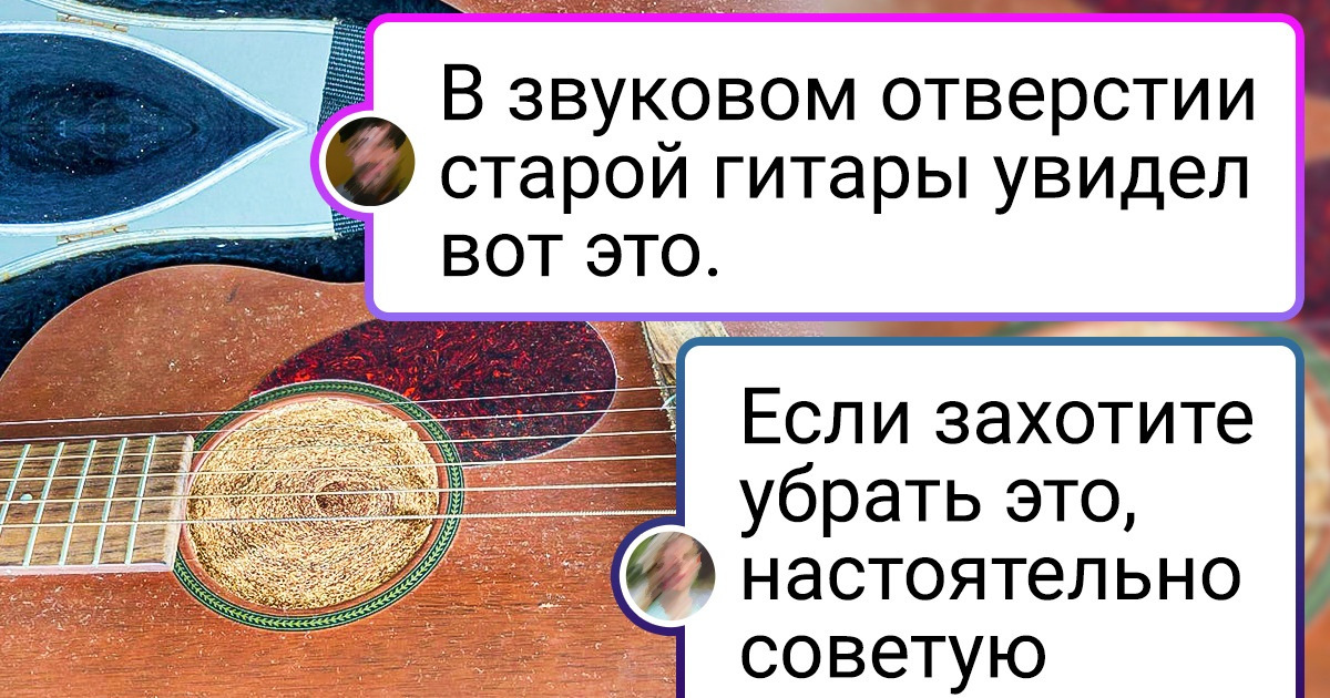 18 фото, которые доказывают, что энциклопедия чудных фактов о животных — прямо вокруг нас 18 фото, которые доказывают, что энциклопедия чудных фактов о животных — прямо вокруг нас