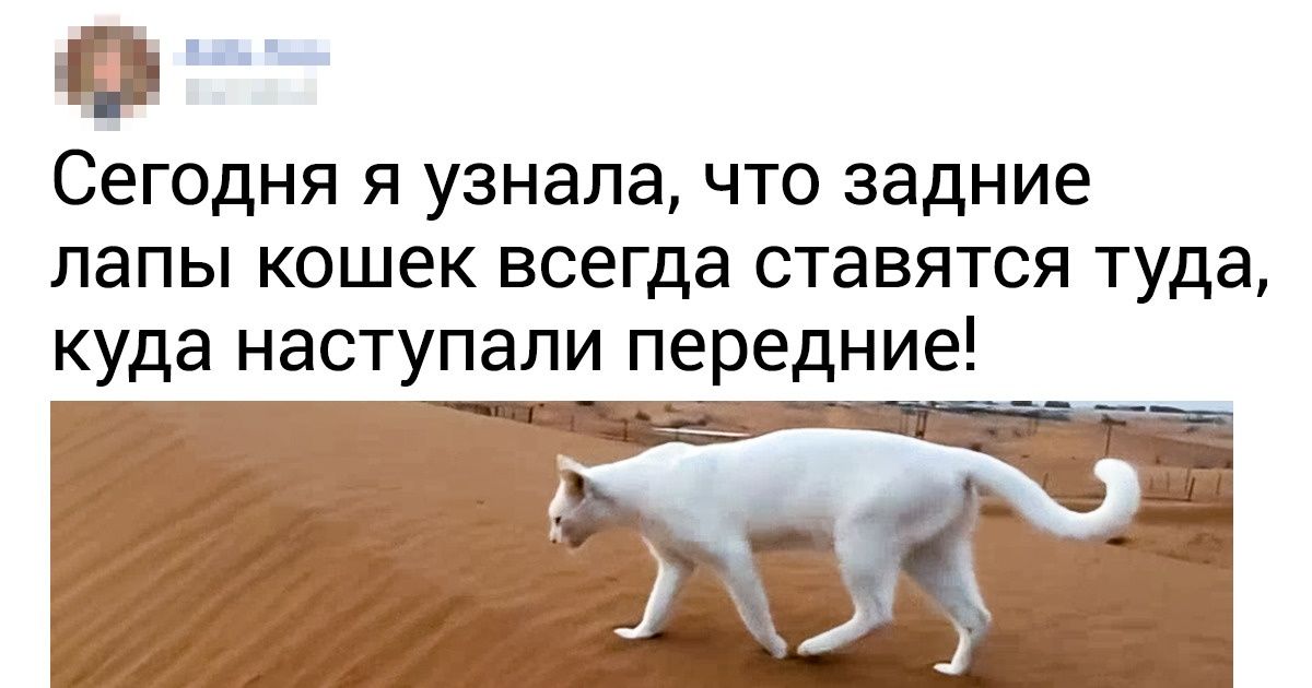 20+ человек рассказали, какие очевидные вещи осознали только недавно 20+ человек рассказали, какие очевидные вещи осознали только недавно