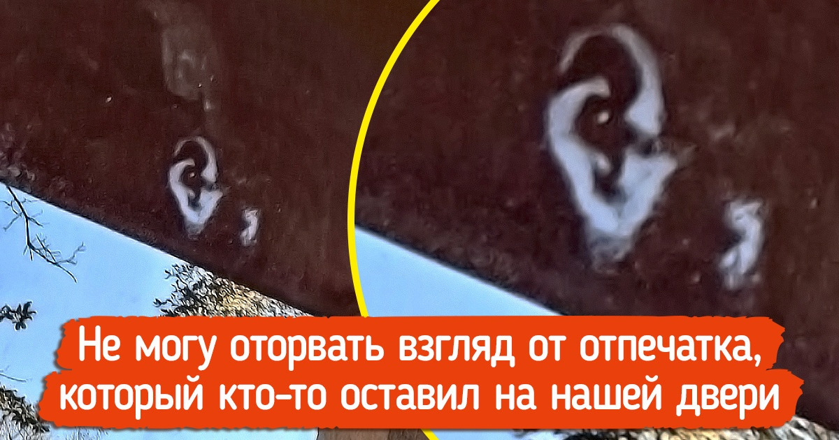 19 обычных, казалось бы, фото, но от них по спине проносятся табуны мурашек 19 обычных, казалось бы, фото, но от них по спине проносятся табуны мурашек